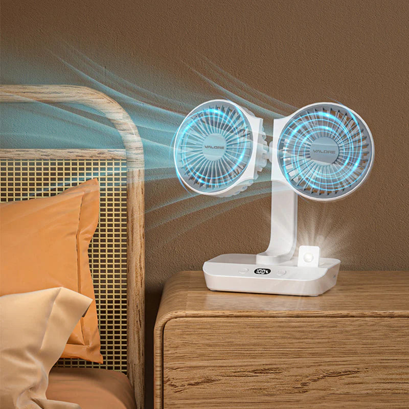 Valore Dual Head Desktop Fan
